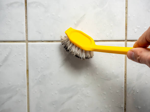 Best Mold Testing  in Merrifield, VA