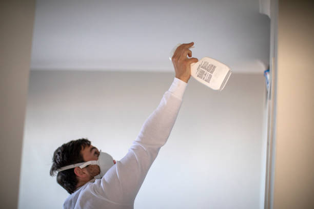 Best Emergency Mold Removal  in Merrifield, VA