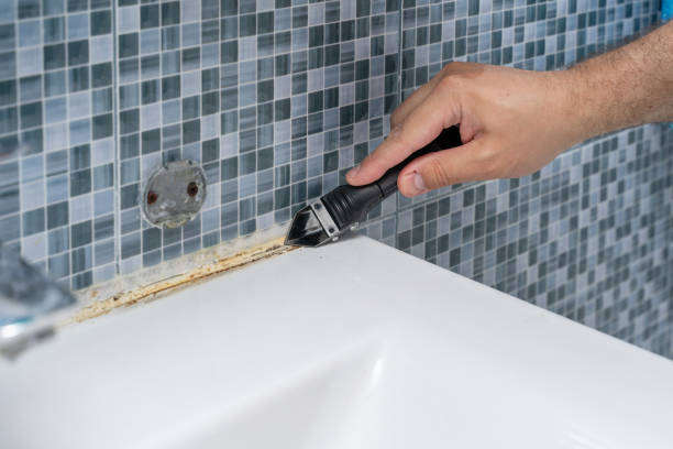 Best Mold Removal Company Near Me  in Merrifield, VA