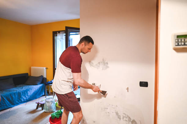 Best Mold Removal Near Me  in Merrifield, VA