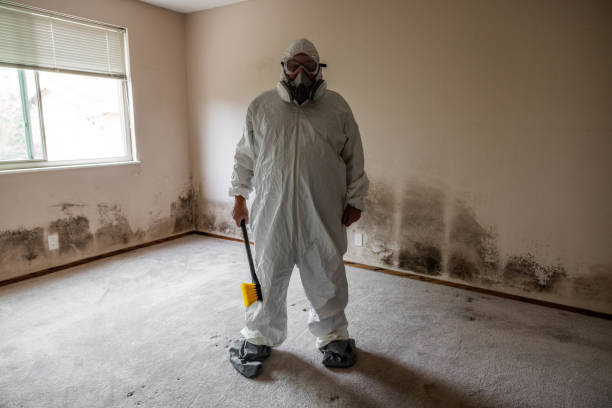 Best Toxic Mold Removal  in Merrifield, VA